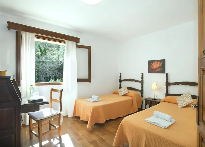 Owl Vallori - 5 Min Walk To The