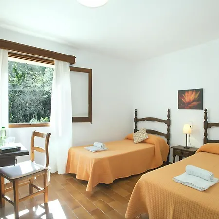 Owl Vallori - 5 Min Walk To The