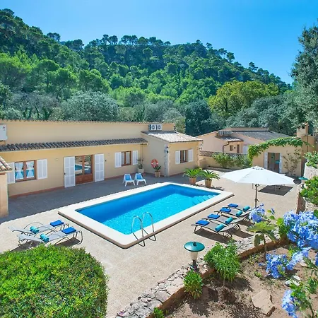 Owl Vallori - 5 Min Walk To The *