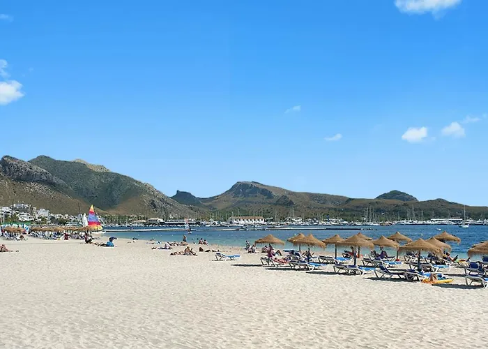 Owl Vallori - 5 Min Walk To The * Pollensa