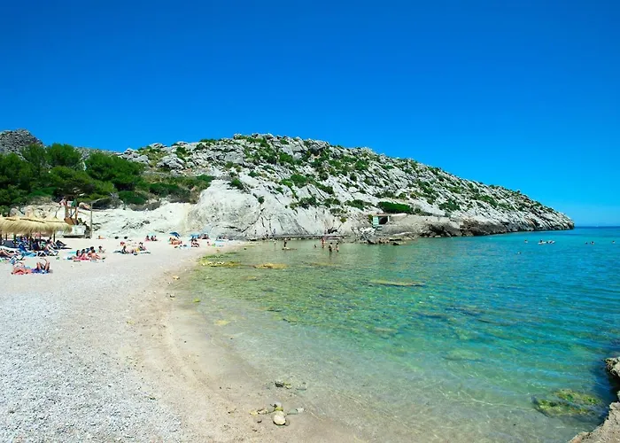 Willa Owl Vallori - 5 Min Walk To The *