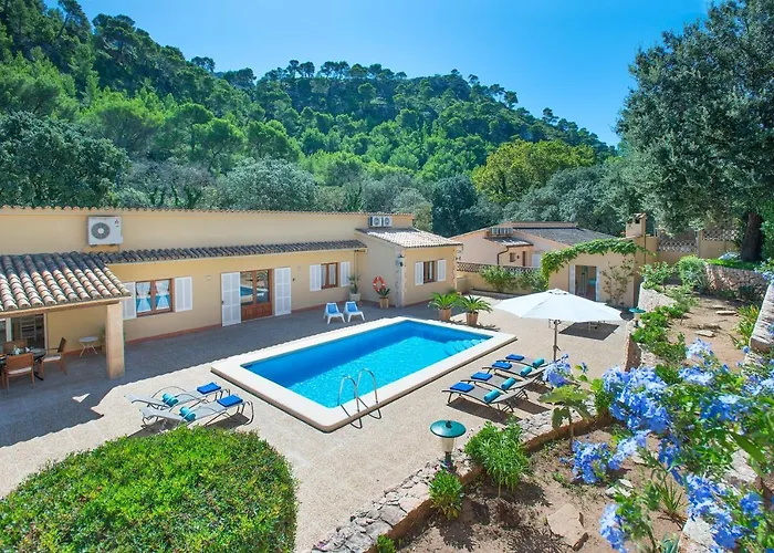 Owl Vallori - 5 Min Walk To The *